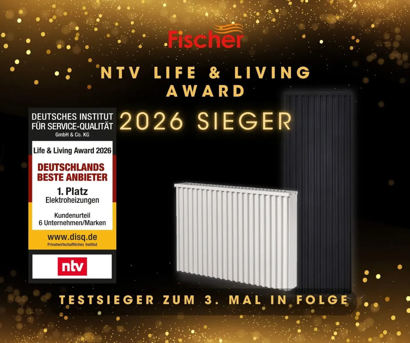 Deutsche Flächendirektspeicherheizungen