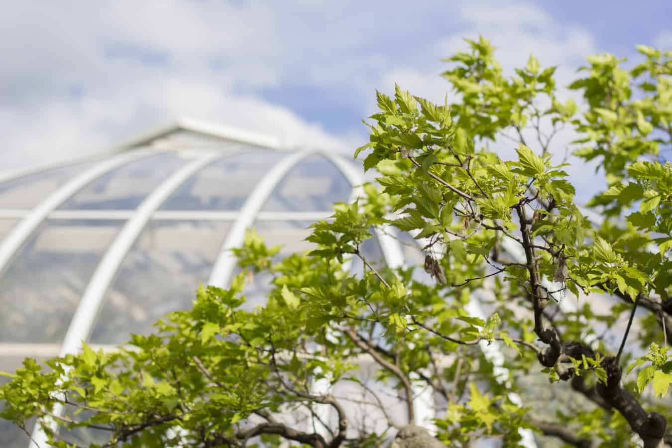 Sonnenschutz für Wintergärten – darauf sollten Sie achten